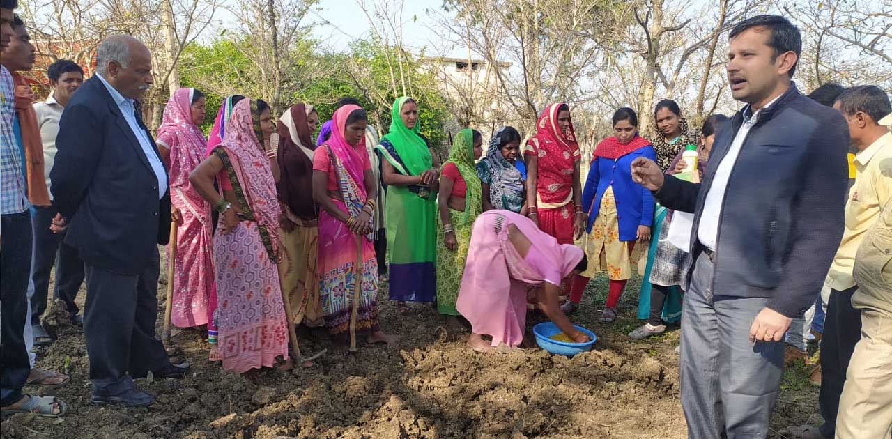 विश्व दलहन दिवस पर कृषक संगोष्ठी संपन्न, 700 किसानों को मिनी... - CG Sandesh