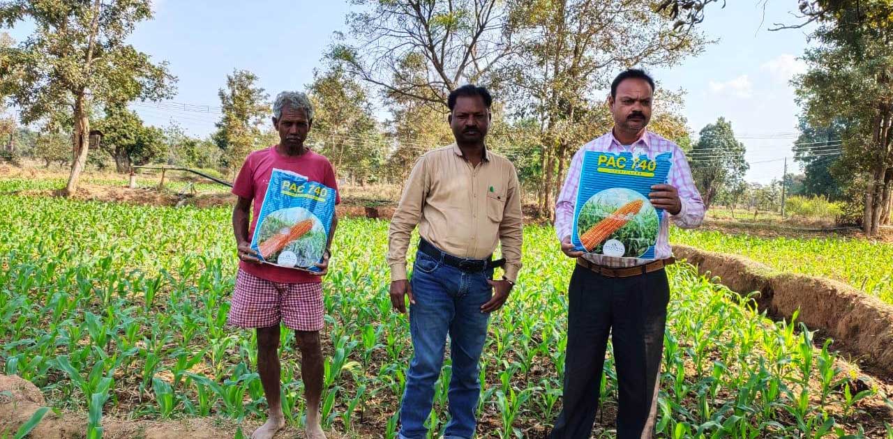 फसल चक्र परिवर्तन से आत्मनिर्भर बना किसान, मक्का की खेती से प्रति एकड़ 25 हजार रूपये की आमदनी