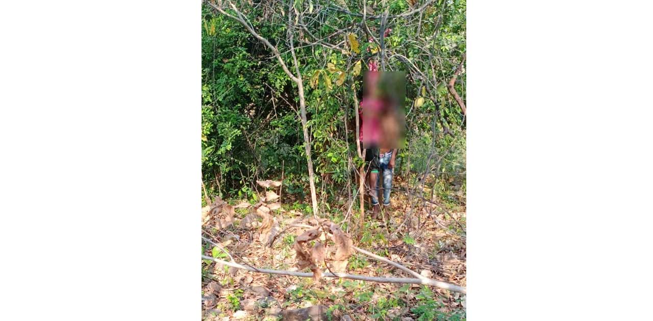 पेड़ पर लटकी मिली युवक-युवती की लाश, बसना थाना के सलखण्ड का म... - CG Sandesh