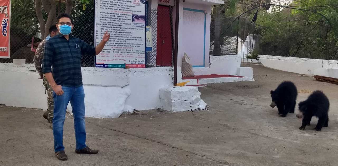 वीडियो वायरल होने के बाद जाँच में पहुंचे अधिकारी, बताया नहीं... - CG Sandesh