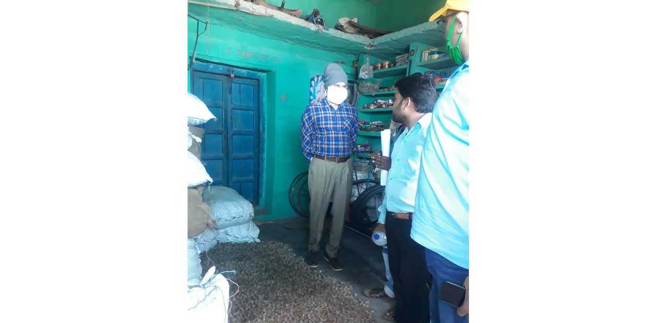 कलेक्टर ने लघु वनोपज संग्रहण कार्य का लिया जायजा, दोना-पतरी ... - CG Sandesh