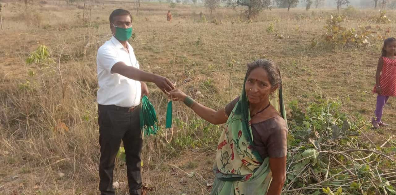 सुरक्षा एवं बचाव के साथ मनरेगा कार्यों मे आयी तेजी, बलौदाबाज... - CG Sandesh