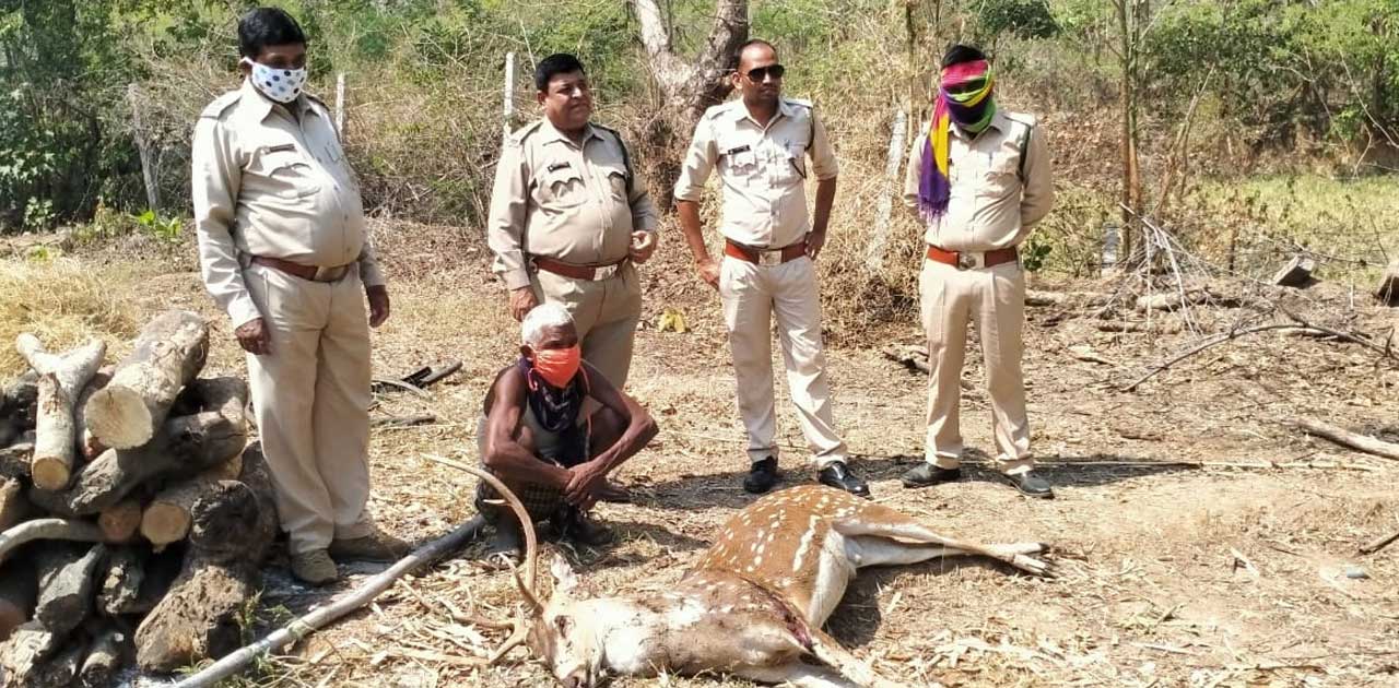 आरोपी हिराखन गिरफ्तार - CG Sandesh
