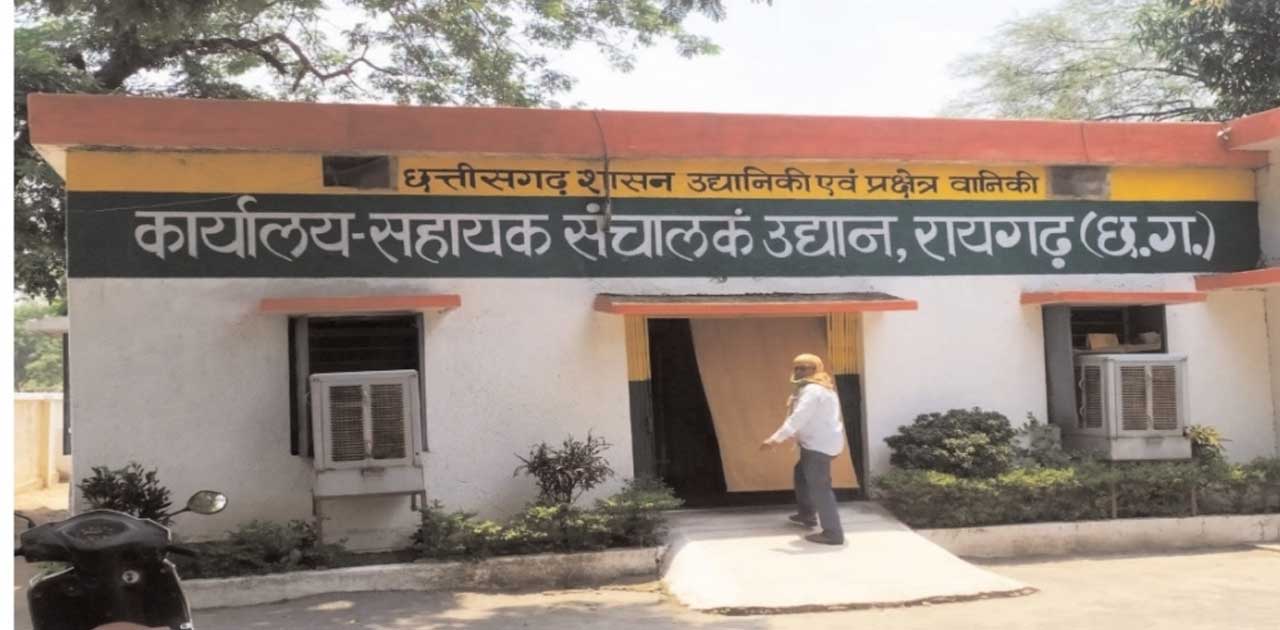 सारंगढ़ में बनाये जाएंगे 666 बाड़ी, पूरे जिले में 5663 बाड़ी बन... - CG Sandesh