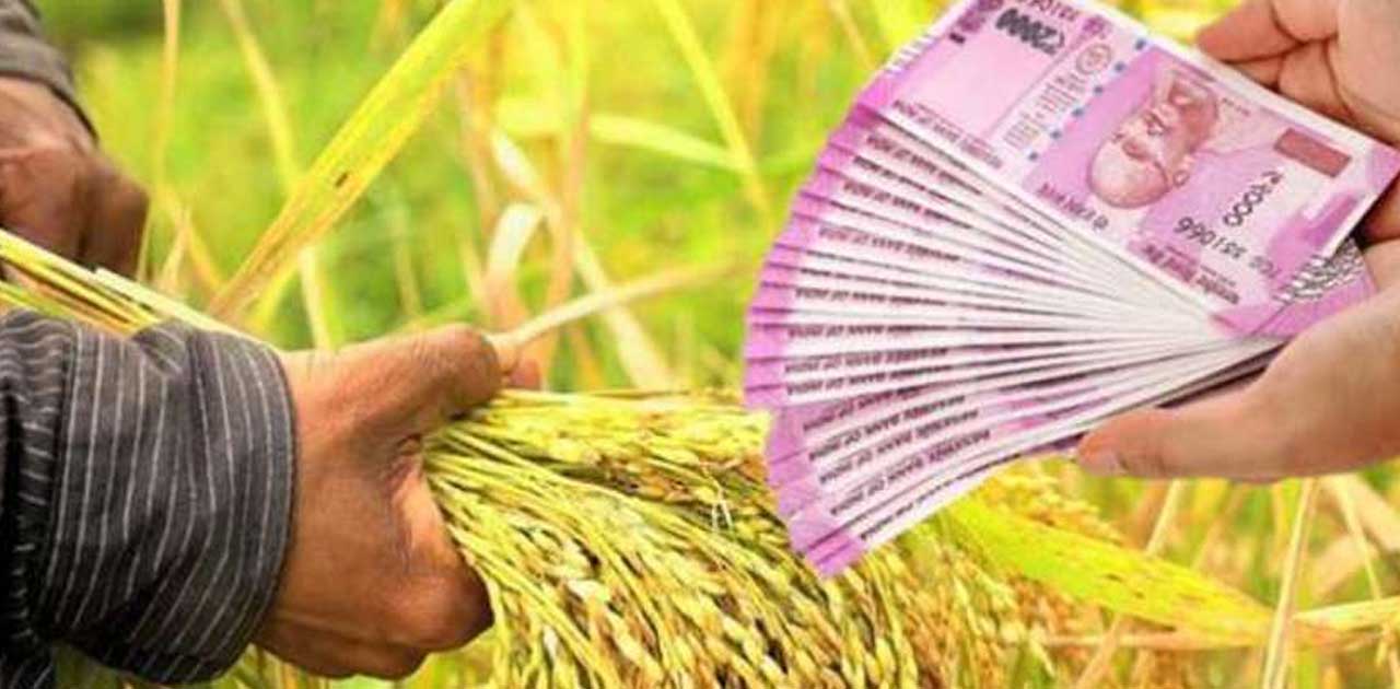 अब तक नहीं मिली भँवरपुर,  पिरदा के जिला सहकारी बैंक अंतर्गत ... - CG Sandesh