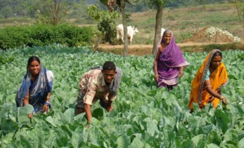 इन जिलों में  किया जाएगा “बायोटेक किसान हब” की  स्थापना..... किसानों को 2 लाख से अधिक की आय प्राप्त होगी..!