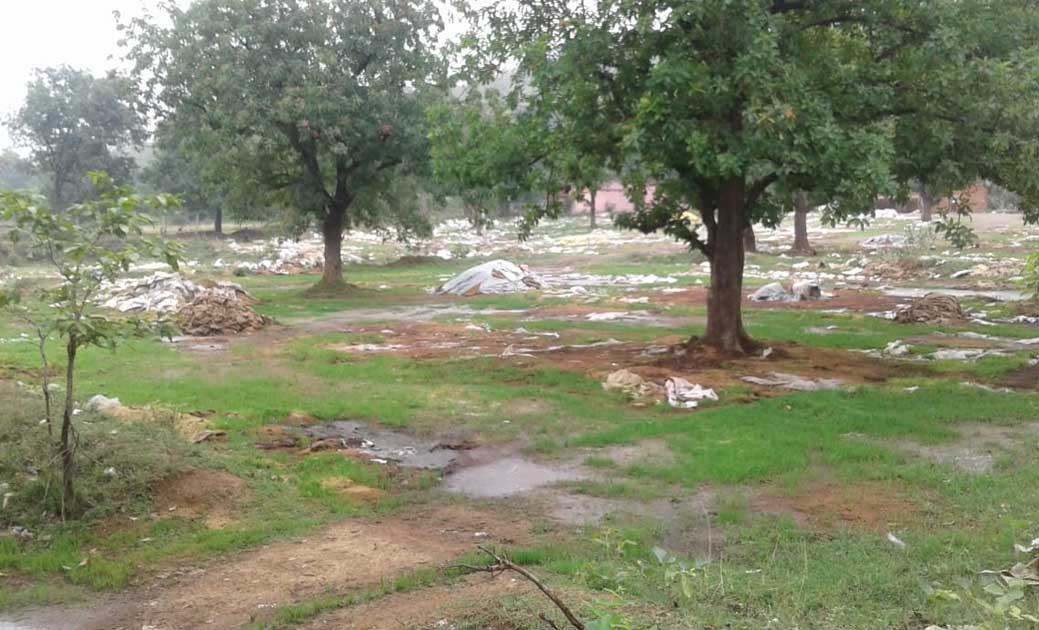 आरंगी समिति धान घोटाला, 2 करोड 94 लाख रूपये के अमानक धान की ... - CG Sandesh