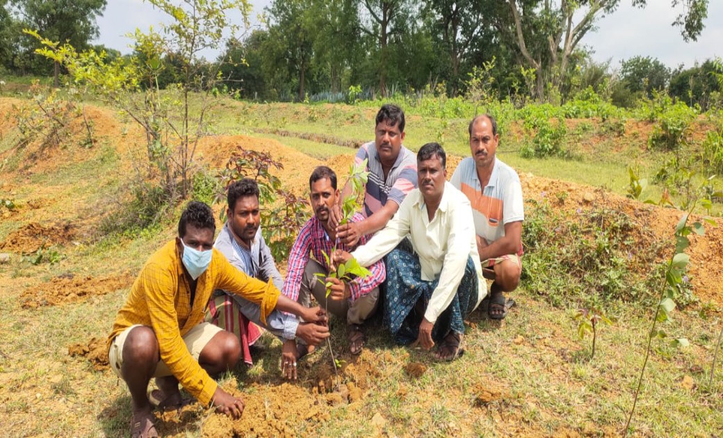 सरायपाली ग्राम पंचायत मुंधा के गौठान में पौधारोपण - CG Sandesh