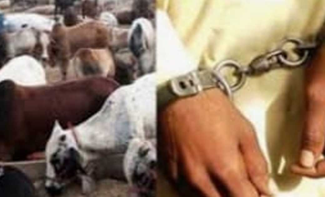 ग्रामीणों के सजगता एवं डी एस पी अंजू कुमारी के तत्परता से पश... - CG Sandesh
