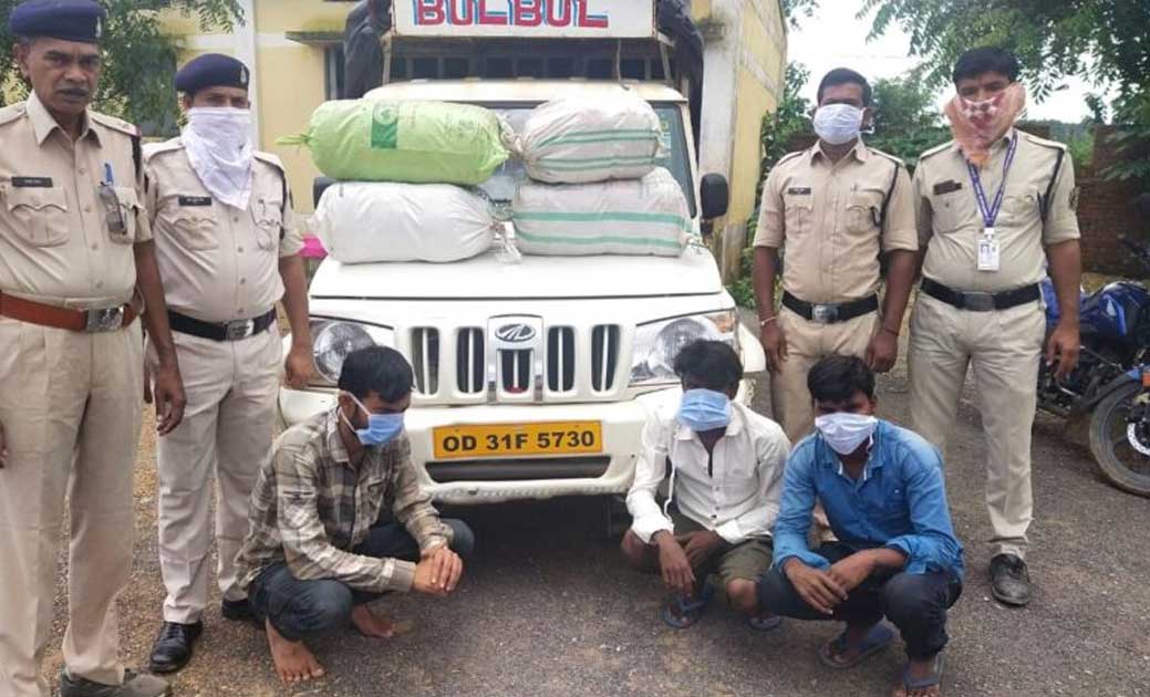 वाहन चेकिंग के दौरान पीकअप से 70 किलोग्राम गांजा जप्त, 3 आरो... - CG Sandesh