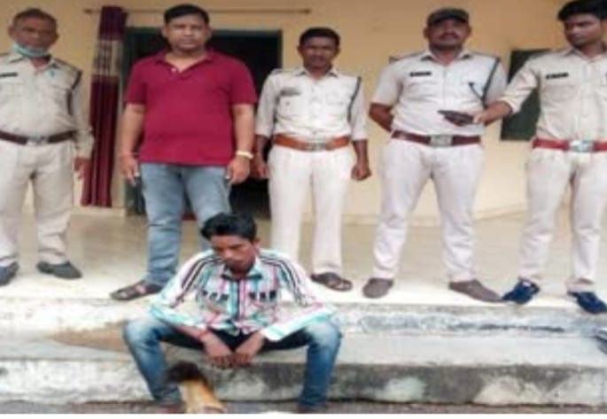 रायगढ़ :-गोमर्डा अभ्यारण में  2 शिकारियों ने किया साम्भर का श... - CG Sandesh
