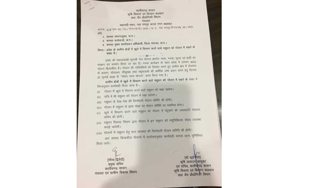 छत्तीसगढ़ के ग्रामीण क्षेत्रों में खुले में विचरण करने वाले पशुओं को रखा जाएगा गौठानों में.....राज्य शासन ने जारी किए दिशा-निर्देश