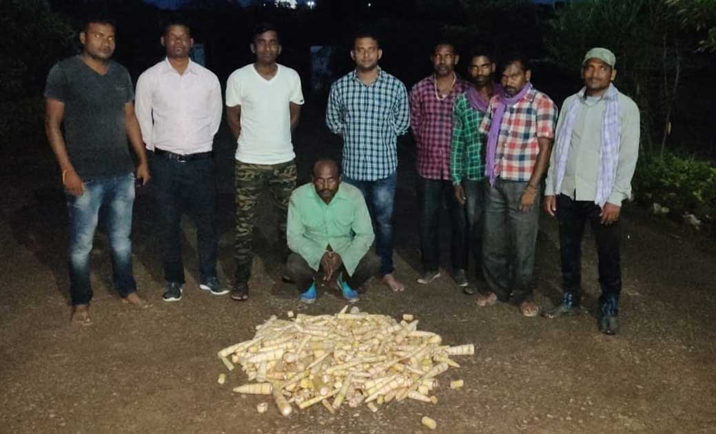 जंगल से करील (बांस पीका) चोरी करते अपराधी पकड़े गये