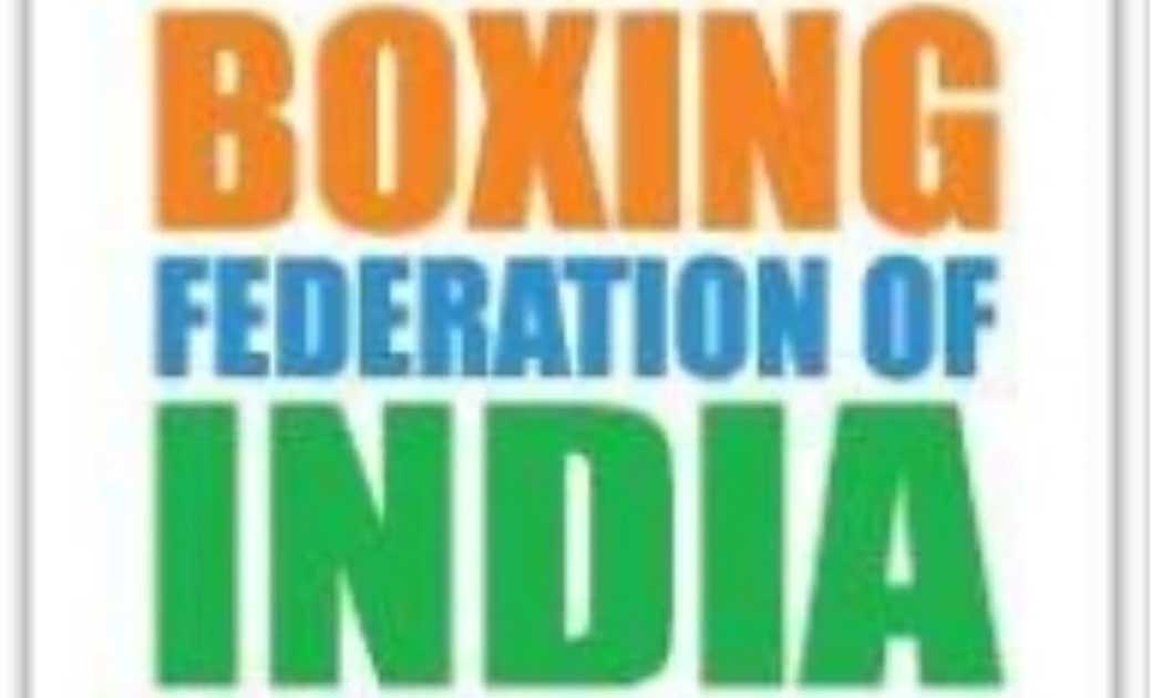 भारतीय मुक्केबाजी महासंघ ने 25 प्रतिशित तक महिलाओं की हिस्से... - CG Sandesh