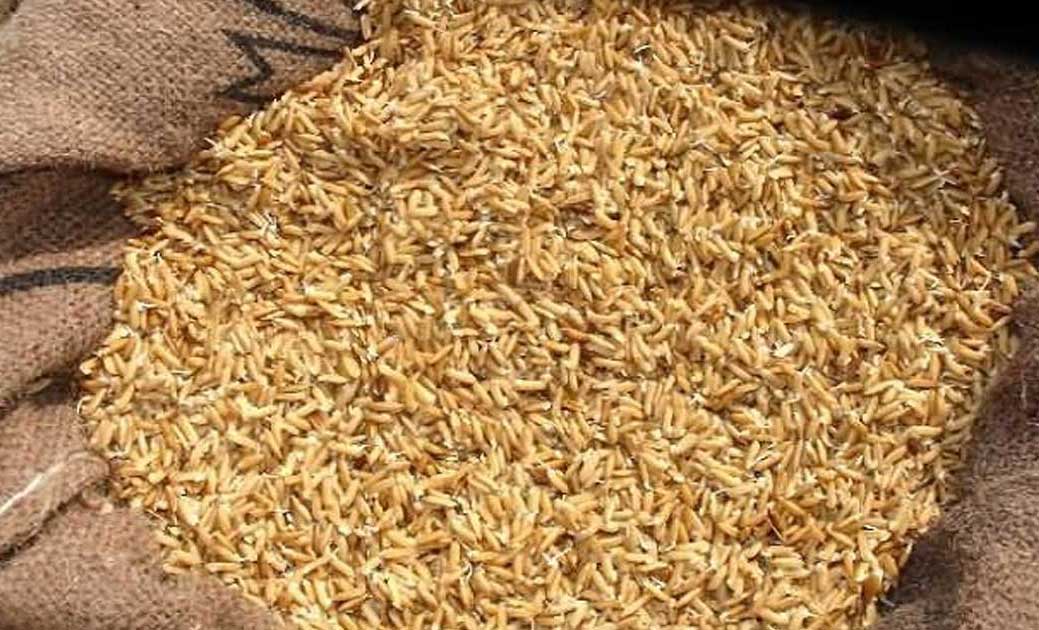 केंदुढार के किसानों ने ग्राम पंचायत केंदुढार को सहकारी संस्थ... - CG Sandesh