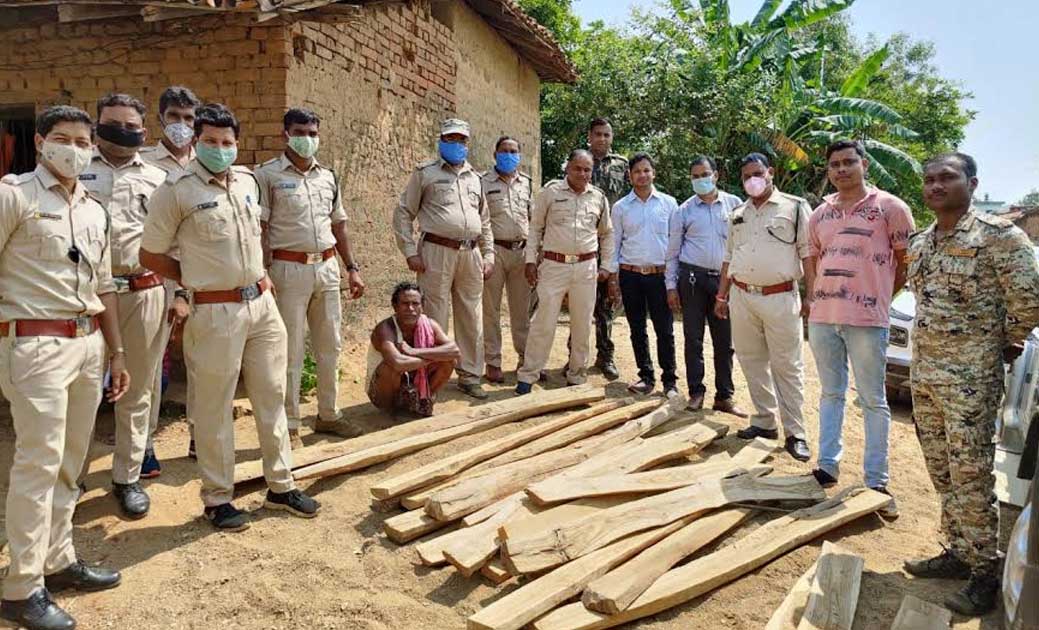 वन विभाग की कार्यवाही में भारी मात्रा में सागौन एवं मुण्डी च... - CG Sandesh
