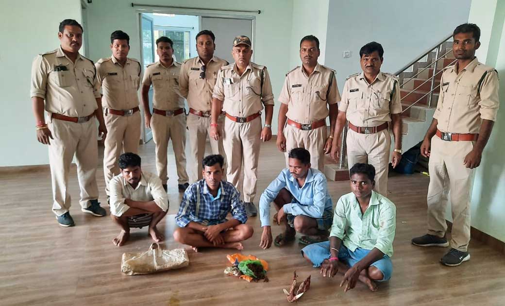 सरायपाली परीक्षेत्र से जंगली सूअर का अवैध शिकार करते हुए चार... - CG Sandesh