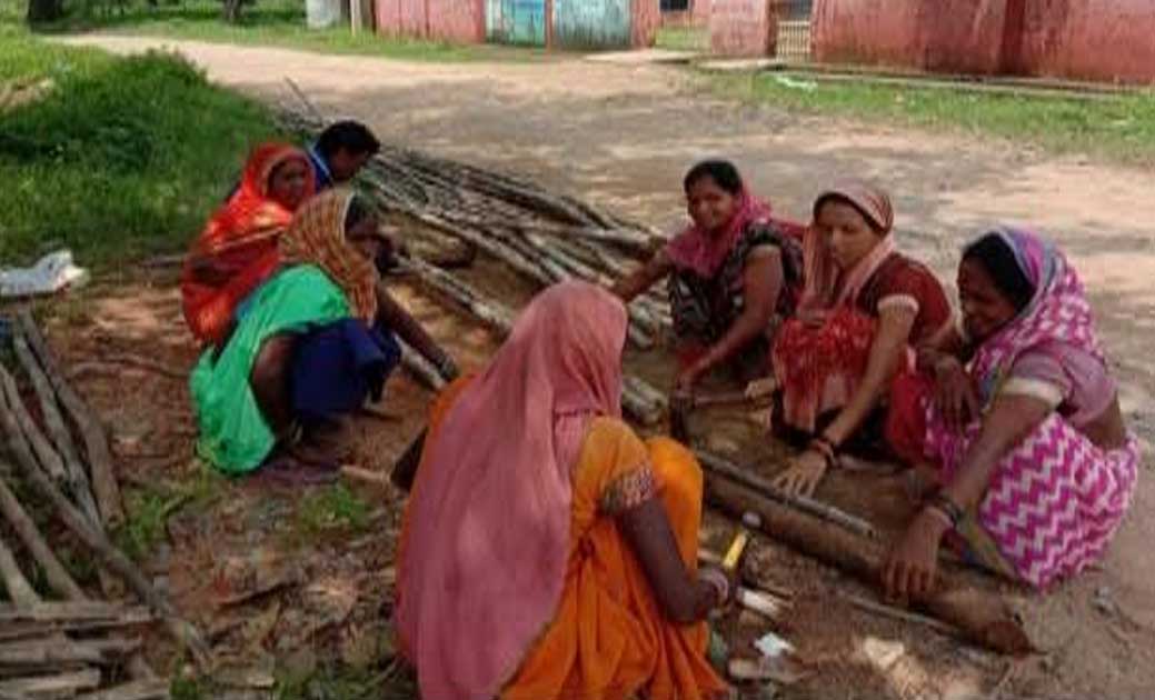 सरकड़ा के जय माॅ संतोषी महिला स्व-सहायता समूह बना रही है ट्री... - CG Sandesh