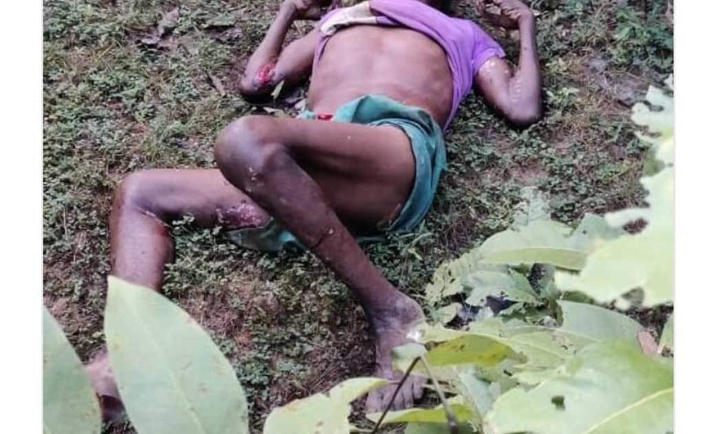 रायगढ़: बैल चराने गये बुजुर्ग को गजराज ने कुचला, हुवी मौत...