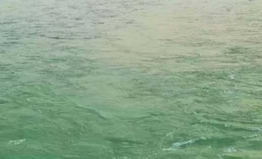 बसना : तालाब में डूबने से 32 वर्षीय व्यक्ति की मौत, पंजाब का... - CG Sandesh