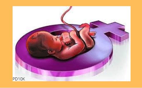 भ्रूण लिंग जांच का कोड वर्ड्स में चल रहा कारोबार......मिठाई ... - CG Sandesh