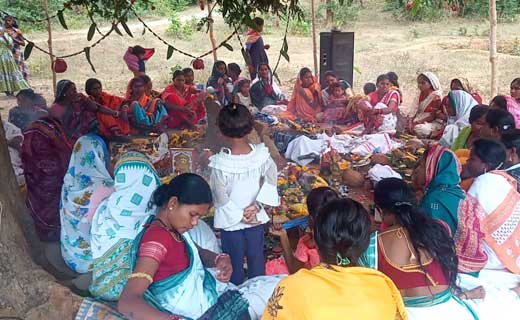 बागबाहरा वनांचल क्षेत्र के ग्राम बोकरामुडां खुर्द में किया गया आंवला नवमी की पूजा 