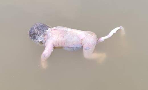 तालाब में तैरता हुआ मिला नवजात शिशु का शव - CG Sandesh