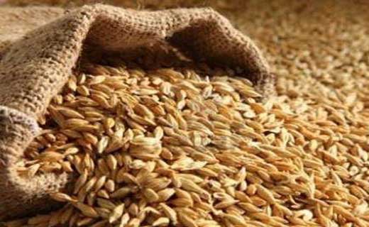 सिंघोड़ा : कोठार में बने कमरे से धान की चोरी.
