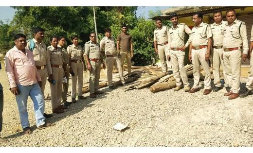 सरायपाली: वन विभाग की छापामार कार्रवाई लगातार जारी : दो आरोप... - CG Sandesh