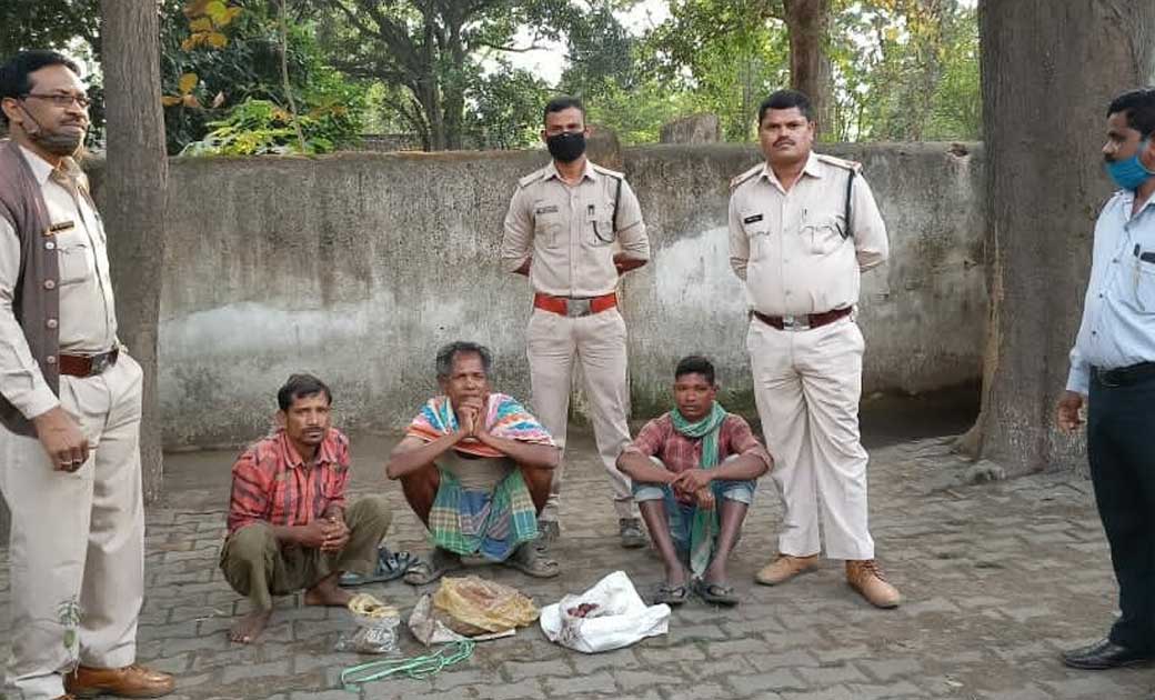 मुखबिर से सूचना मिलने पर...वन विभाग की कार्यवाही...कोटरी का ... - CG Sandesh