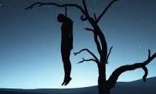 सिंघोड़ा: जंगल में व्यक्ति ने फांसी लगाकर की खुदखुशी - CG Sandesh