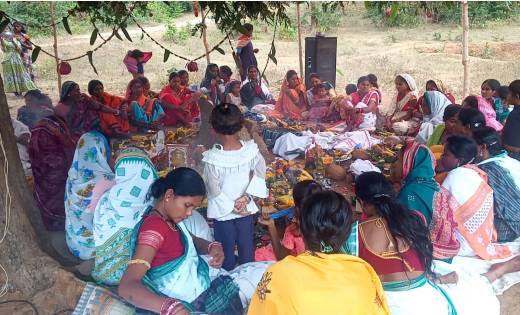 बागबाहरा वनांचल क्षेत्र के ग्राम बोकरामुडां खुर्द में किया ग... - CG Sandesh