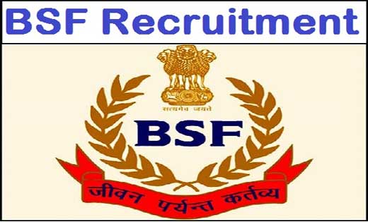 बॉर्डर सिक्यूरिटी फोर्स (BSF) ने  कॉन्स्टेबल और हेड कॉन्स्टे... - CG Sandesh