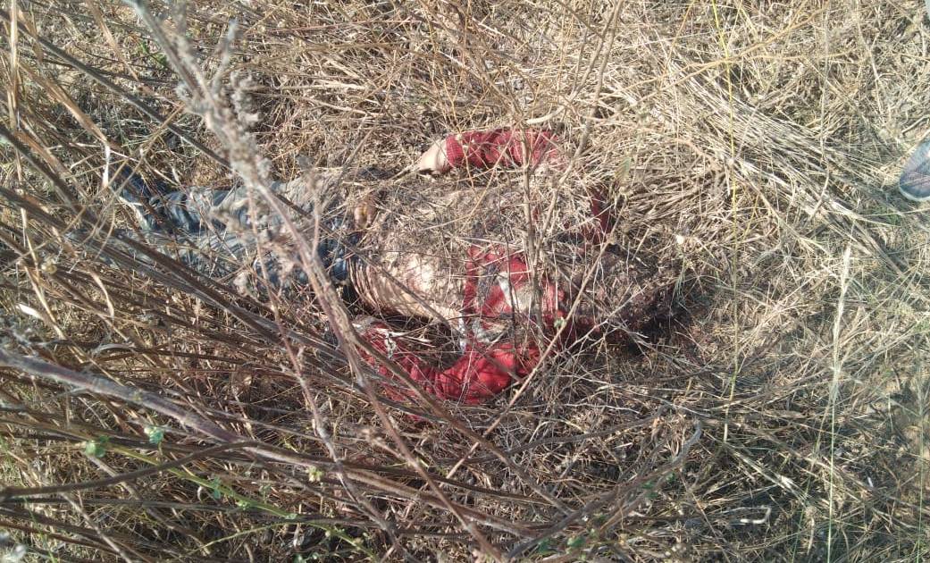 सरायपाली : ग्राम टेंगनापाली में युवक का शव बरामद, हत्या की आ... - CG Sandesh