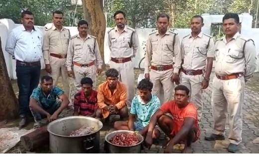  रायगढ़ : जंगली सूअर का शिकार, मांस का बंटवारा कर रहे पांच श... - CG Sandesh
