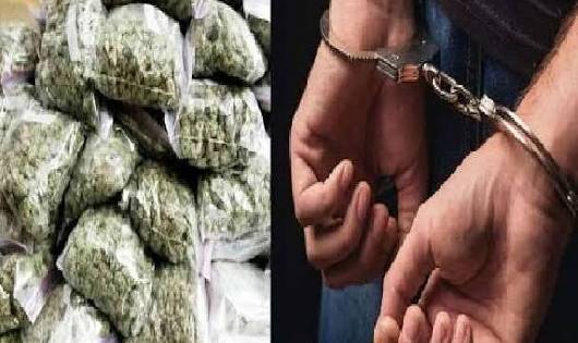 महासमुंद पुलिस ने 35 किलो गांजा किया जप्त, आरोपी गाड़ी जंगल म... - CG Sandesh