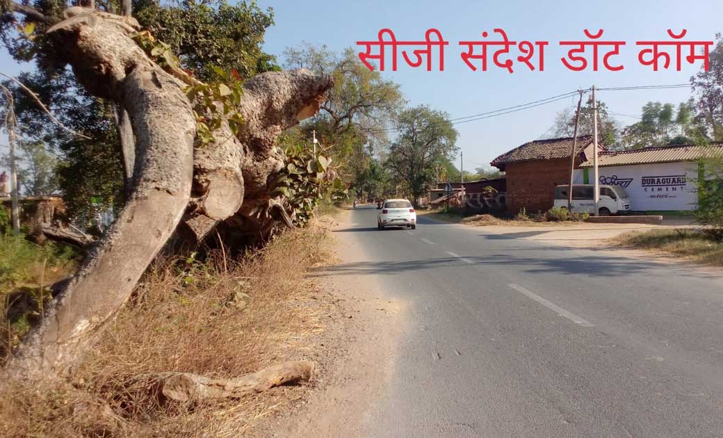 आंधी तूफान में गिरे बरगद के पेड़ को मार्ग किनारे से आज तक नह... - CG Sandesh