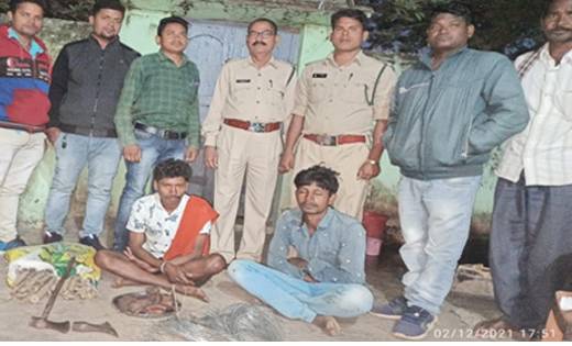 पिथौरा: करंट से जंगली सुअर का शिकार, 2 गिरफ्तार 1 फरार - CG Sandesh