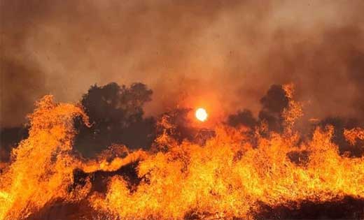 बसना : खेत के पैरा में आग लगाते वक्त अन्य दो किसानो के फसल म... - CG Sandesh