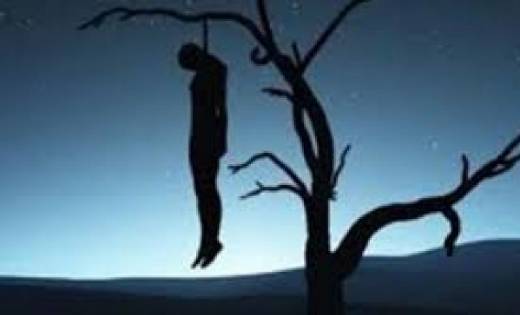बसना: बरगद पेड़ में युवक ने लगाई फांसी - CG Sandesh