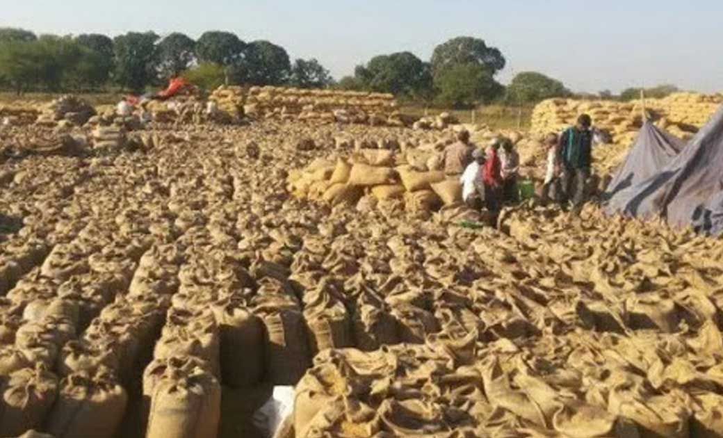 रकबा संशोधन करवाने वाले किसान...14 जनवरी से धान बेच सकेंगे...