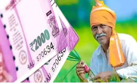 इस दिन आएगी पीएम किसान योजना की 10वीं क़िस्त, जानें किन किसान... - CG Sandesh