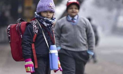  24 से 28 दिसम्बर तक स्कूलों की छुट्टी , शीतलहर को देखते हुए... - CG Sandesh
