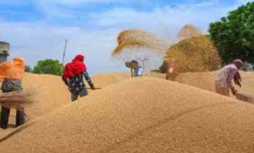 एमएसपी से कम पर धान की खरीद के बारे में कोई शिकायत नहीं: सरक... - CG Sandesh