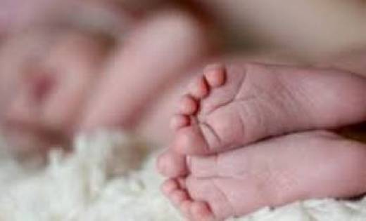 पिथौरा: नाला के पास मिला अविकसीत शीशु का शव - CG Sandesh