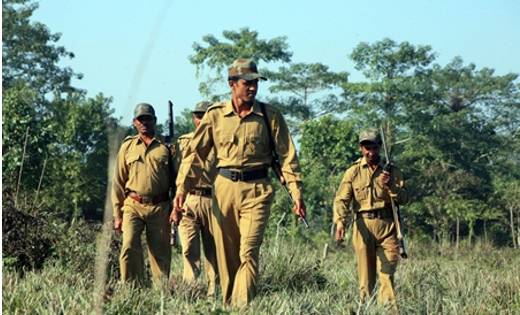 छत्तीसगढ़: वनरक्षक के पदों पर निकली बम्पर भर्ती, 12 दिसंबर से कर सकते हैं आवेदन