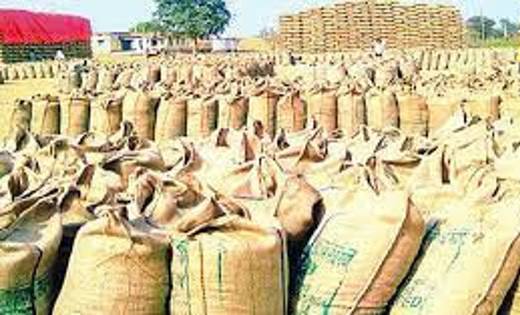 धान उपार्जन केन्द्रों का निरीक्षण-पर्यवेक्षण के लिए नोडल अधिकारियों की समीक्षा बैठक 01 जनवरी को
