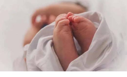   स्वास्थ्य केंद्र की बड़ी लापरवाही, मृत नवजात को उठा ले गया... - CG Sandesh