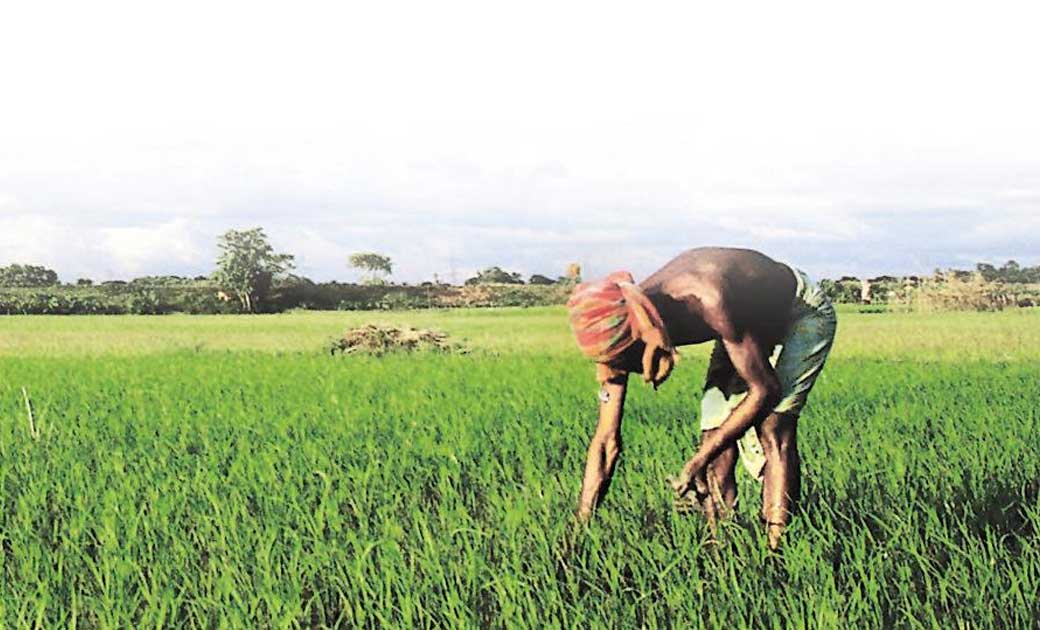 किसानों की आय बढ़ाने के लिए किसान रेल परिवहन के माध्यम से सब... - CG Sandesh