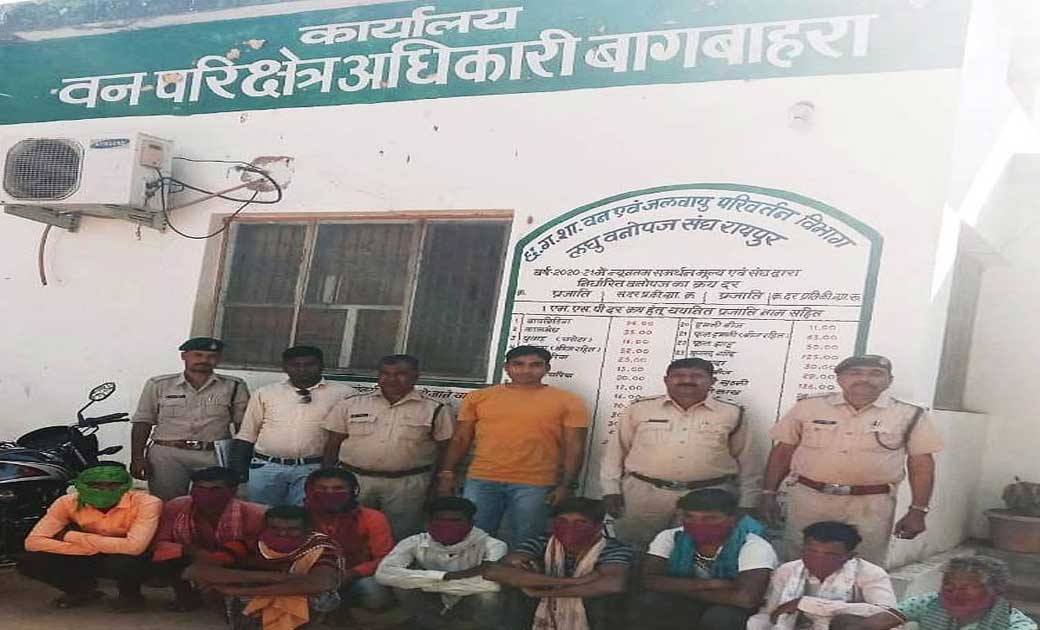 जंगल में आग लगाने वालों की अब खैर नहीं :  रंगे हाथों पकड़े गए... - CG Sandesh